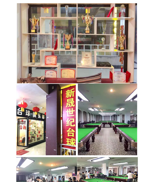 西雙版納勐臘縣新晟世紀(jì)世紀(jì)桌球俱樂部 西雙版納勐臘縣新晟世紀(jì)世紀(jì)桌球俱樂部